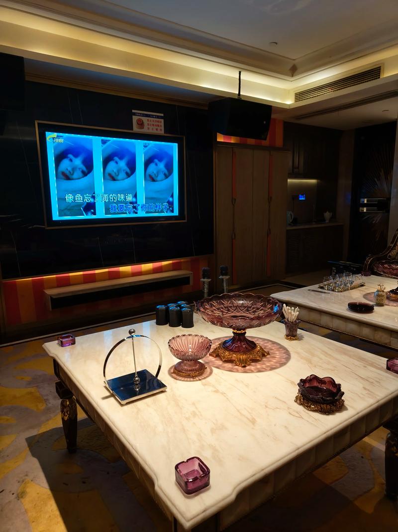 绥化商务ktv商务ktv能否组局解析-安达市ktv预订